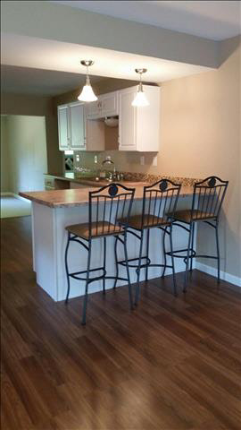 611 West Sterns Road Temperance, MI 48182 - Photo 6 of 20 20416511-5.JPG