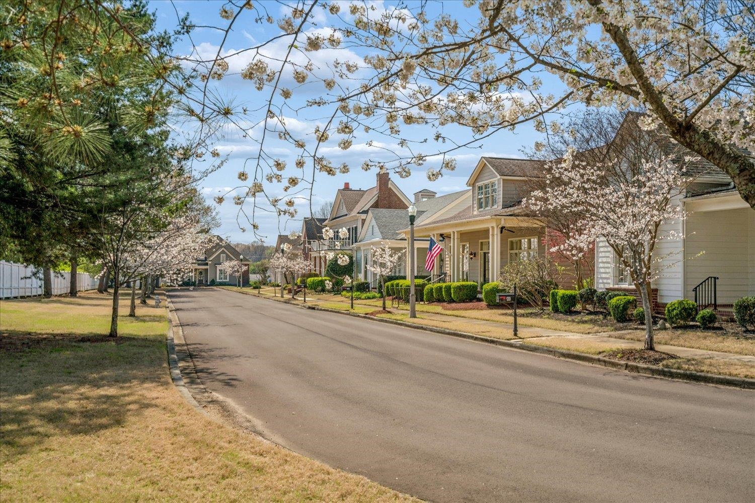 145 Cottage Grove Collierville, TN 38017 - Photo 3 of 40