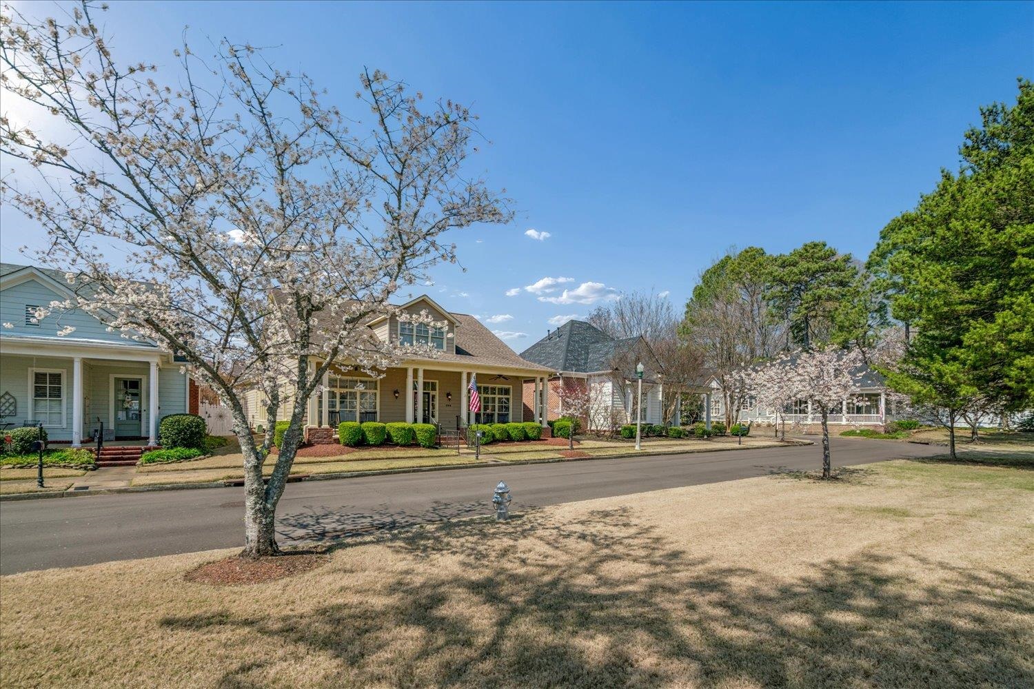 145 Cottage Grove Collierville, TN 38017 - Photo 35 of 40