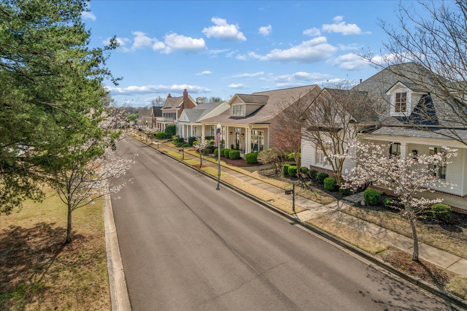 145 Cottage Grove Collierville, TN 38017 - Photo 36 of 40