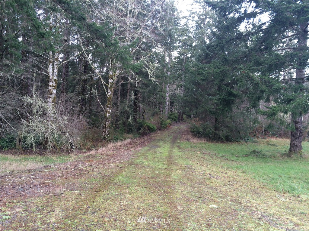 15120 Sandridge Road Long Beach, WA 98631 - Photo 3 of 23 Gallery Image 3