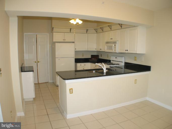 12300 Rosslare Ridge Road, Unit 506 Lutherville-Timonium, MD 21093 - Photo 5 of 11 Kitchen