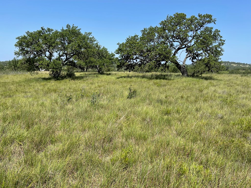 89 Summit Ridge Trail, Unit 89 Johnson City, TX 78636 - Photo 18 of 24 Gallery Image 18