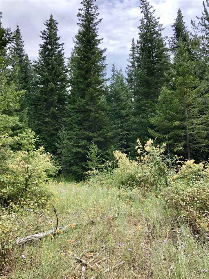 Lot 2 North Jefferson Road Elk, WA 99009 - Photo 4 of 8