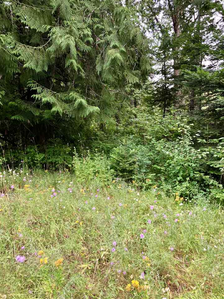 Lot 2 North Jefferson Road Elk, WA 99009 - Photo 5 of 8