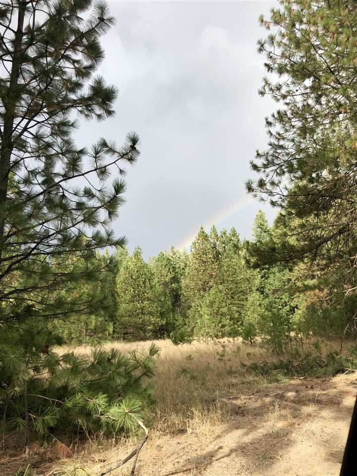 Lot 2 North Jefferson Road Elk, WA 99009 - Photo 6 of 8