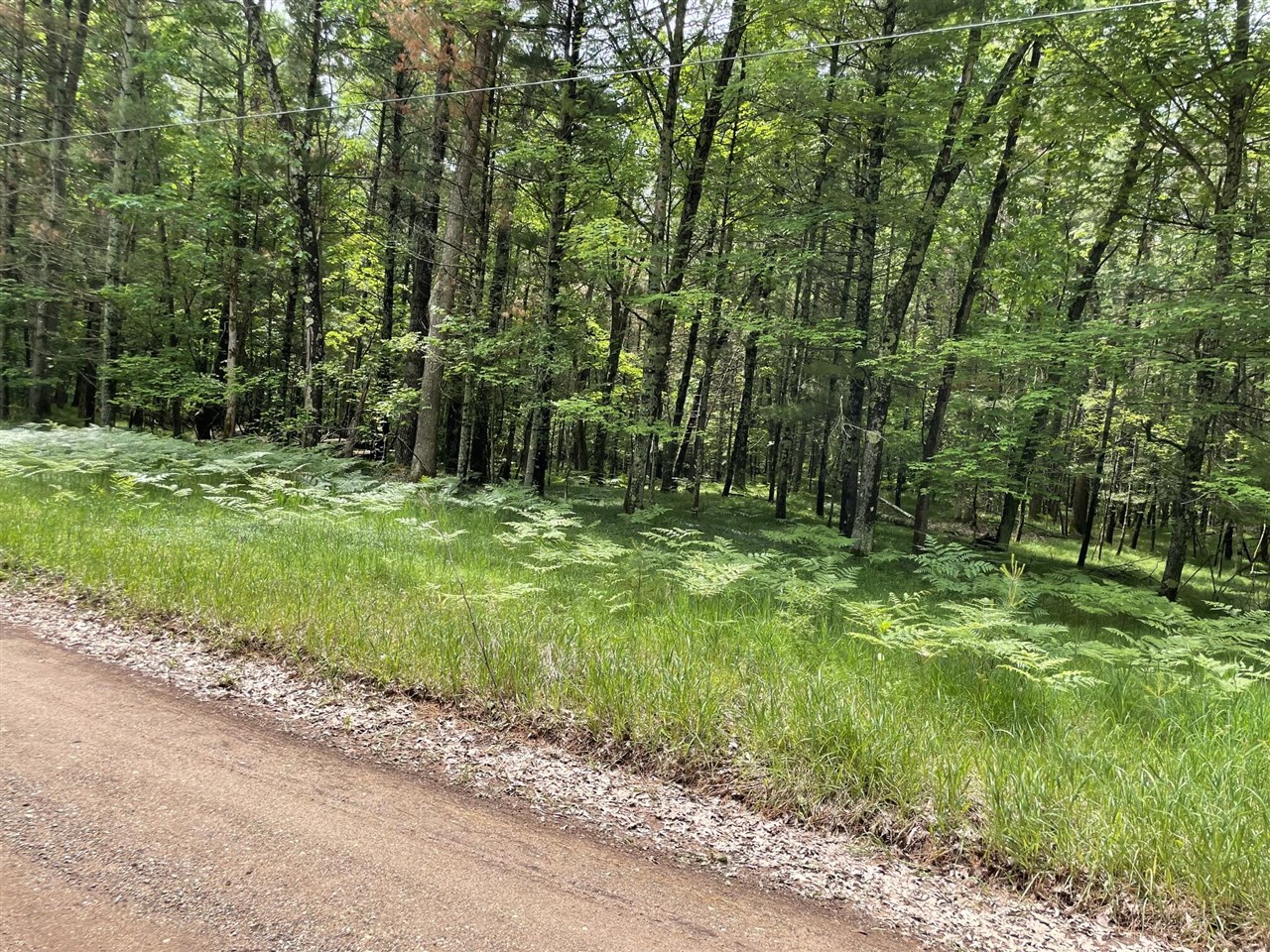 8725 West River Road Irons, MI 49644 - Photo 34 of 37