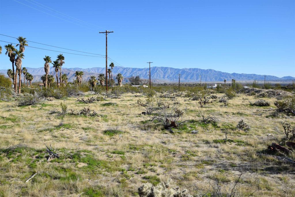 a view of a backyard of a house