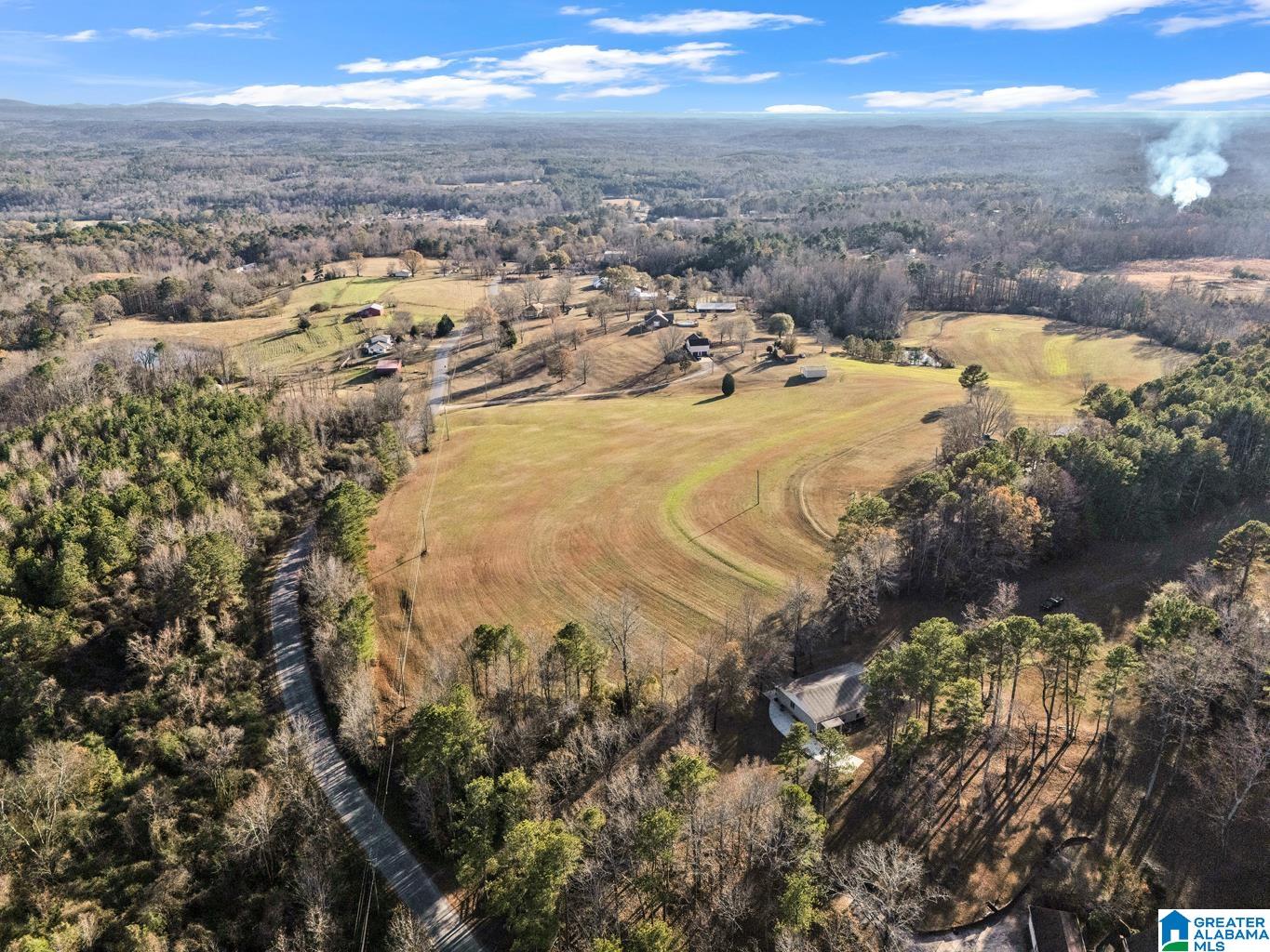1163 Cox Cove Road Hayden, AL 35079 - Photo 43 of 48
