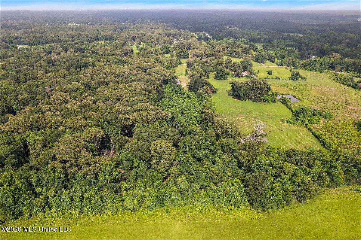 5049 Springridge Road Raymond, MS 39154 - Photo 44 of 50 44-iDJI_0135