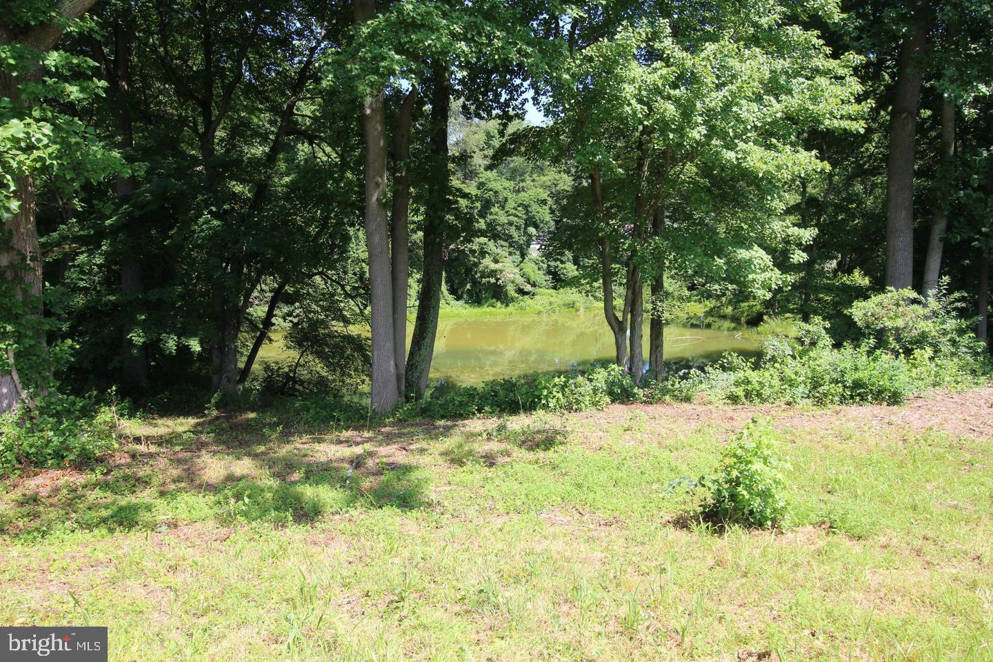 3934 Kirkwood St Georges Road Bear, DE 19701 - Photo 14 of 15 Buildable lot with view of the neighboring pond.
