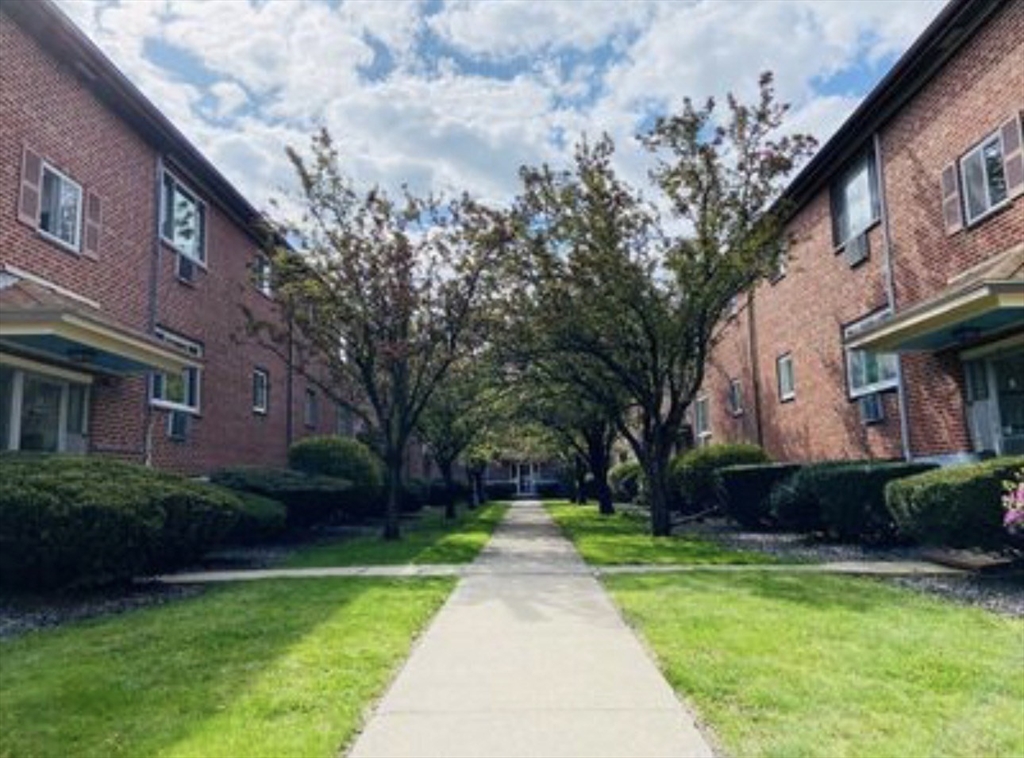 50 Bryon Road, Unit 6 Chestnut Hill, MA 02467 - Photo 4 of 11