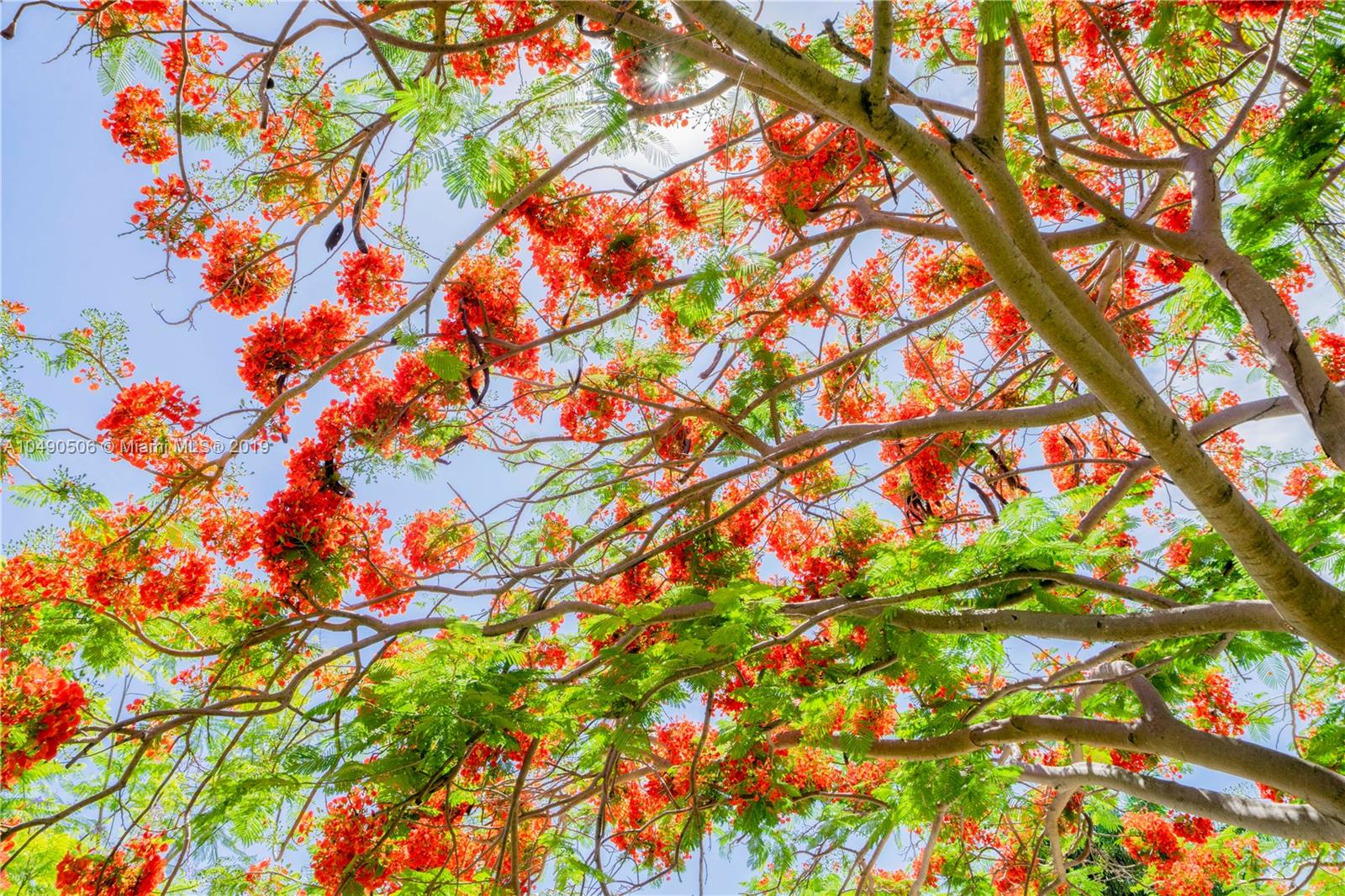 6332 Alton Road Miami Beach, FL 33141 - Photo 90 of 91