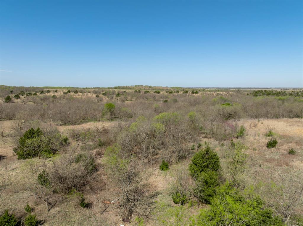 843 Lake Ridge Road Italy, TX 76651 - Photo 15 of 22 a view of a dry yard with trees