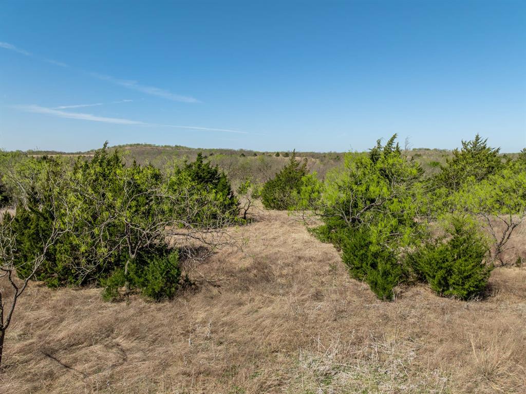 843 Lake Ridge Road Italy, TX 76651 - Photo 19 of 22 a view of a dry yard with plants and wooden fence