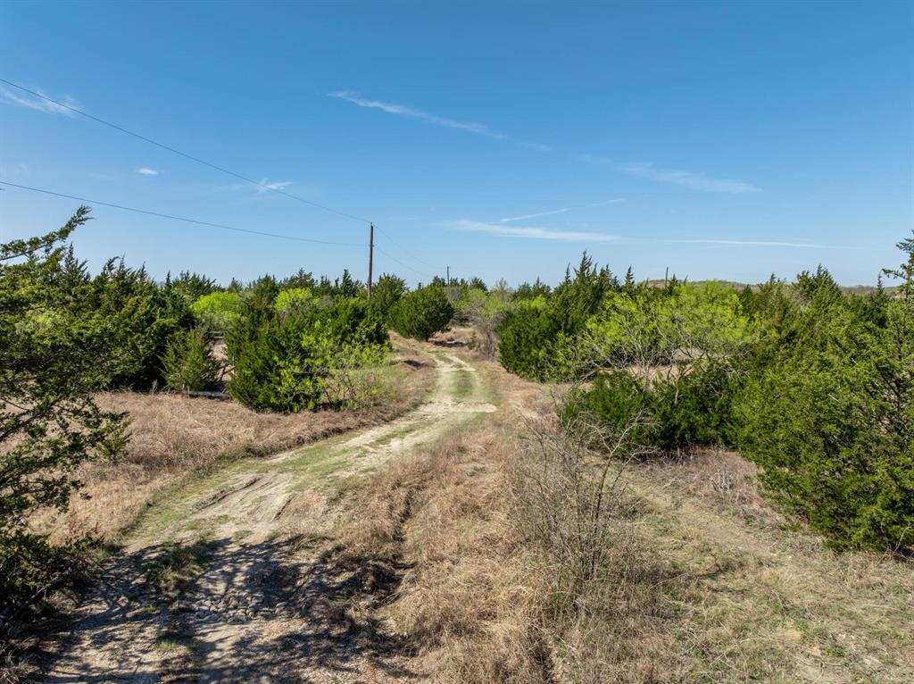 843 Lake Ridge Road Italy, TX 76651 - Photo 2 of 22 a view of a dry yard with plants and a tree