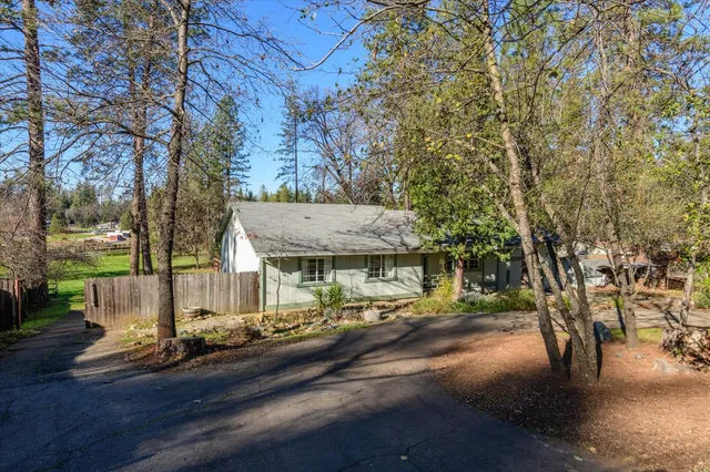 a patio with table and chairs and a large tree