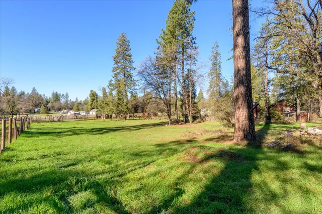 a view of yard with green space
