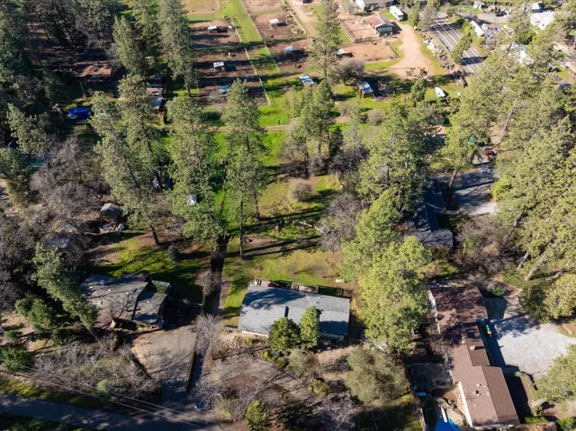 a view of a garden with plants