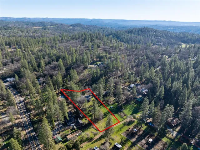 an aerial view of forest