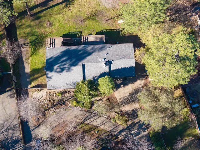 a view of a yard with plants and large trees