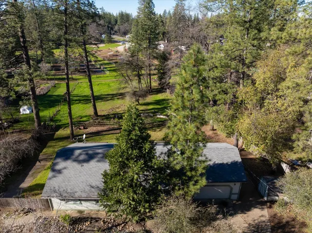 a view of a yard with plants and a bench