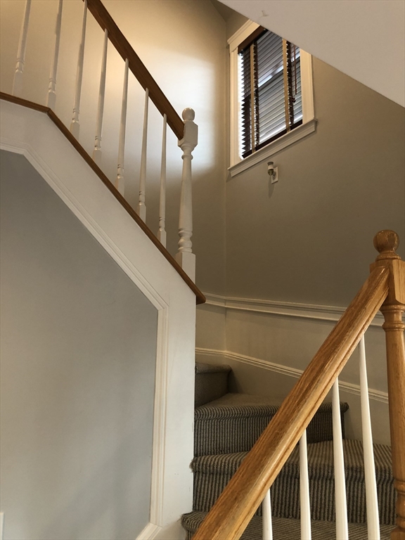 36 Gerald Road, Unit 3 Boston, MA 02135 - Photo 4 of 21 Gallery Image 4