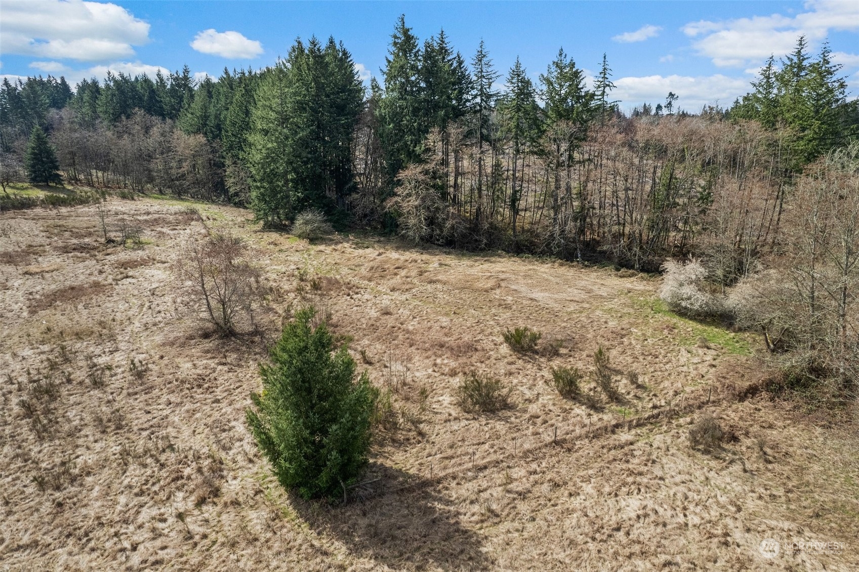 1049 Rush Road Chehalis, WA 98532 - Photo 40 of 40 a view of a yard with large trees