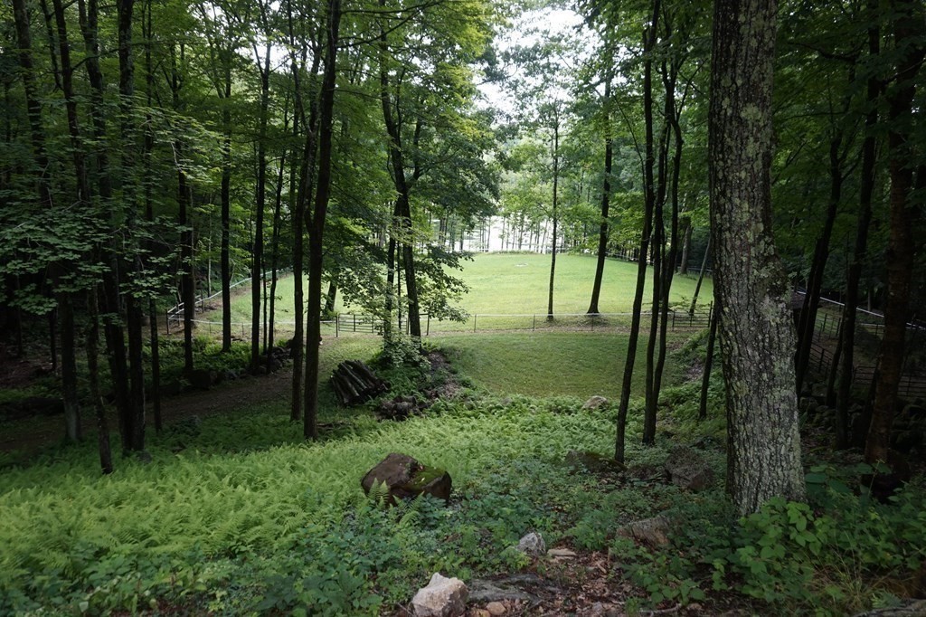 985 Willis Road Phillipston, MA 01331 - Photo 20 of 26 a view of backyard with green space
