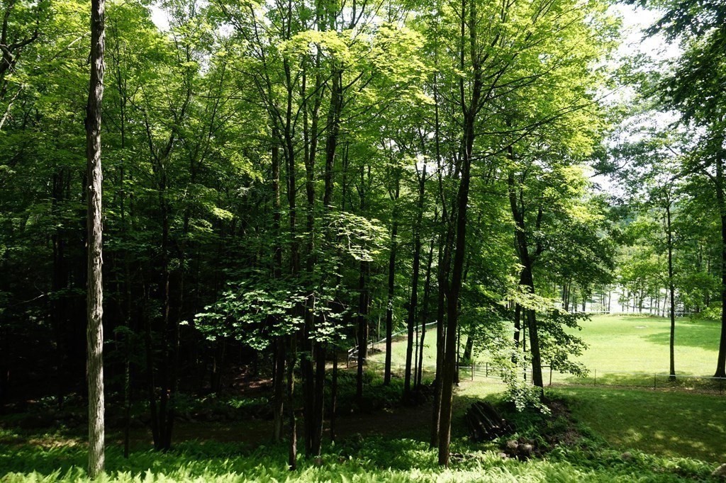 985 Willis Road Phillipston, MA 01331 - Photo 23 of 26 a view of outdoor space yard and green space