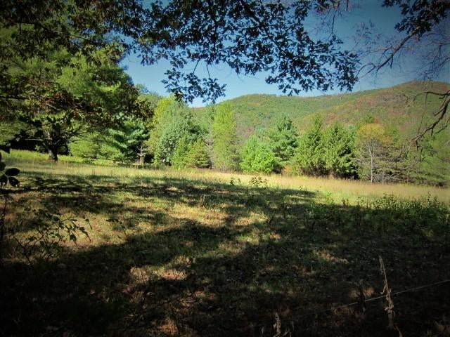 14 Wallace Hollow Road Lindside, WV 24951 - Photo 52 of 89 Gallery Image 52
