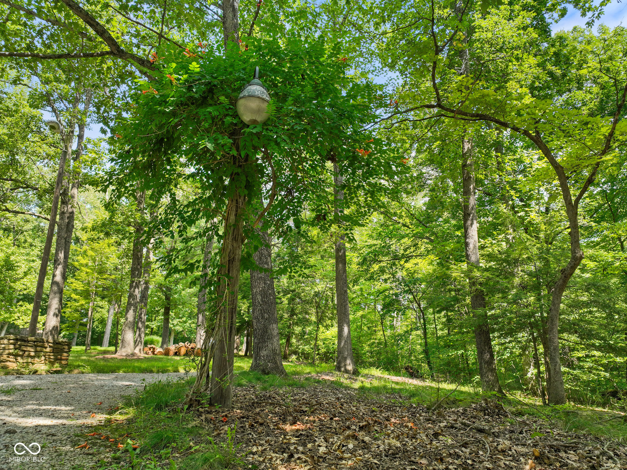 147 Hickory Knob Road Nashville, IN 47448 - Photo 55 of 84 Gallery Image 55