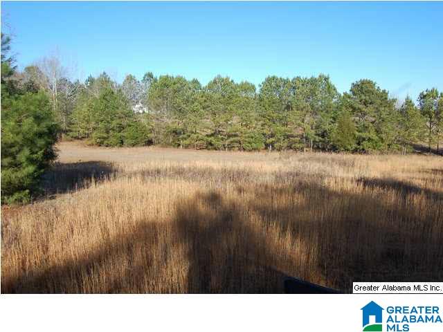 993 County Road, Unit 7 Clanton, AL 35045 - Photo 7 of 8