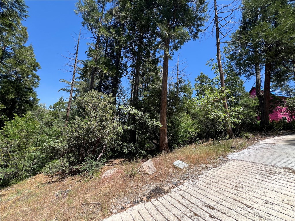 27530 North Bay Road Lake Arrowhead, CA 92352 - Photo 2 of 7