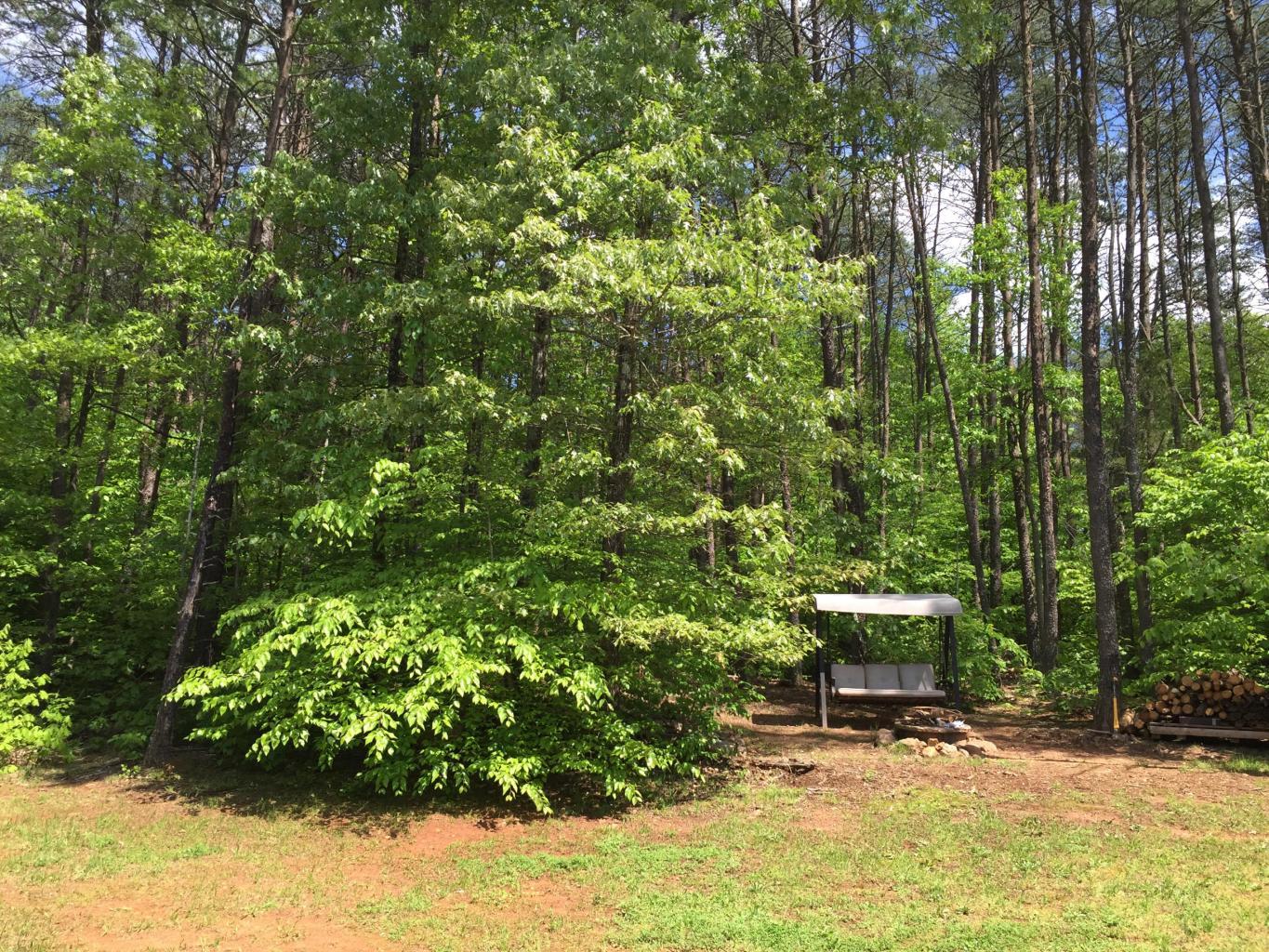 1074 Old Barn Road Moneta, VA 24121 - Photo 30 of 103 20160506174240303115000000-o
