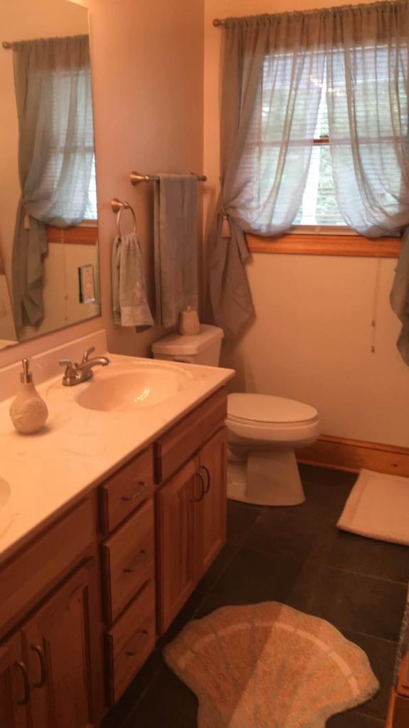 1074 Old Barn Road Moneta, VA 24121 - Photo 60 of 103 20160727215108604666000000-o