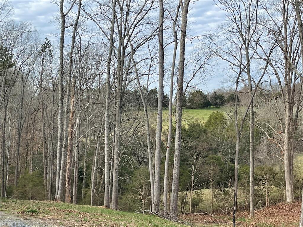 5065 Fairview Church Road Trinity, NC 27370 - Photo 3 of 25