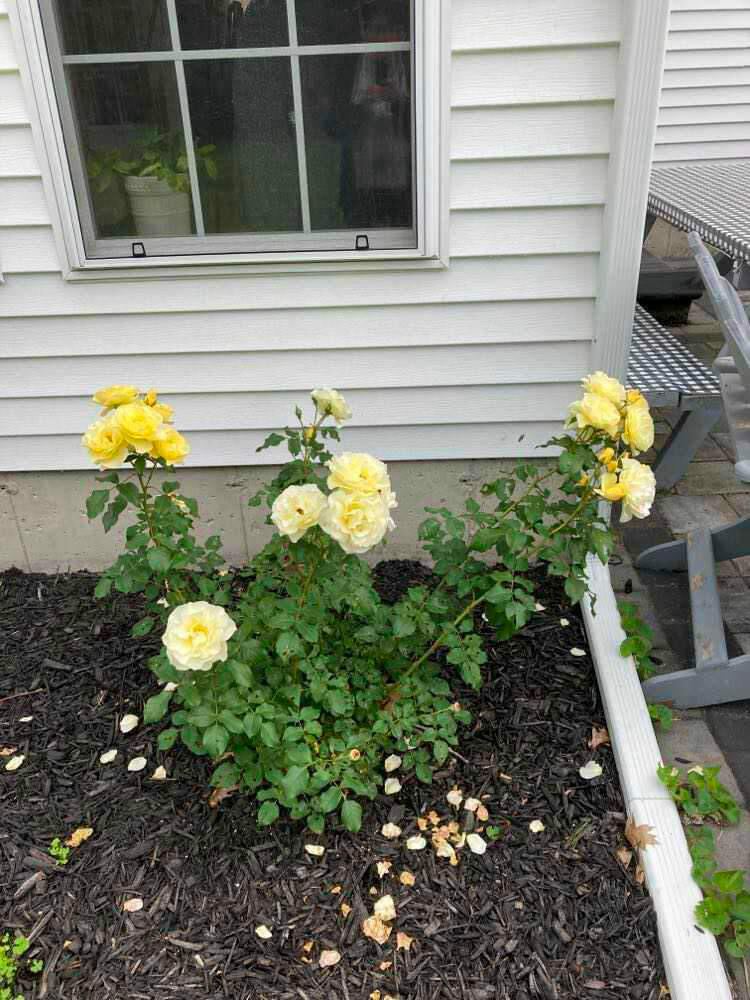 3 Allegheny Road Morrisonville, NY 12962 - Photo 39 of 40 Gallery Image 39