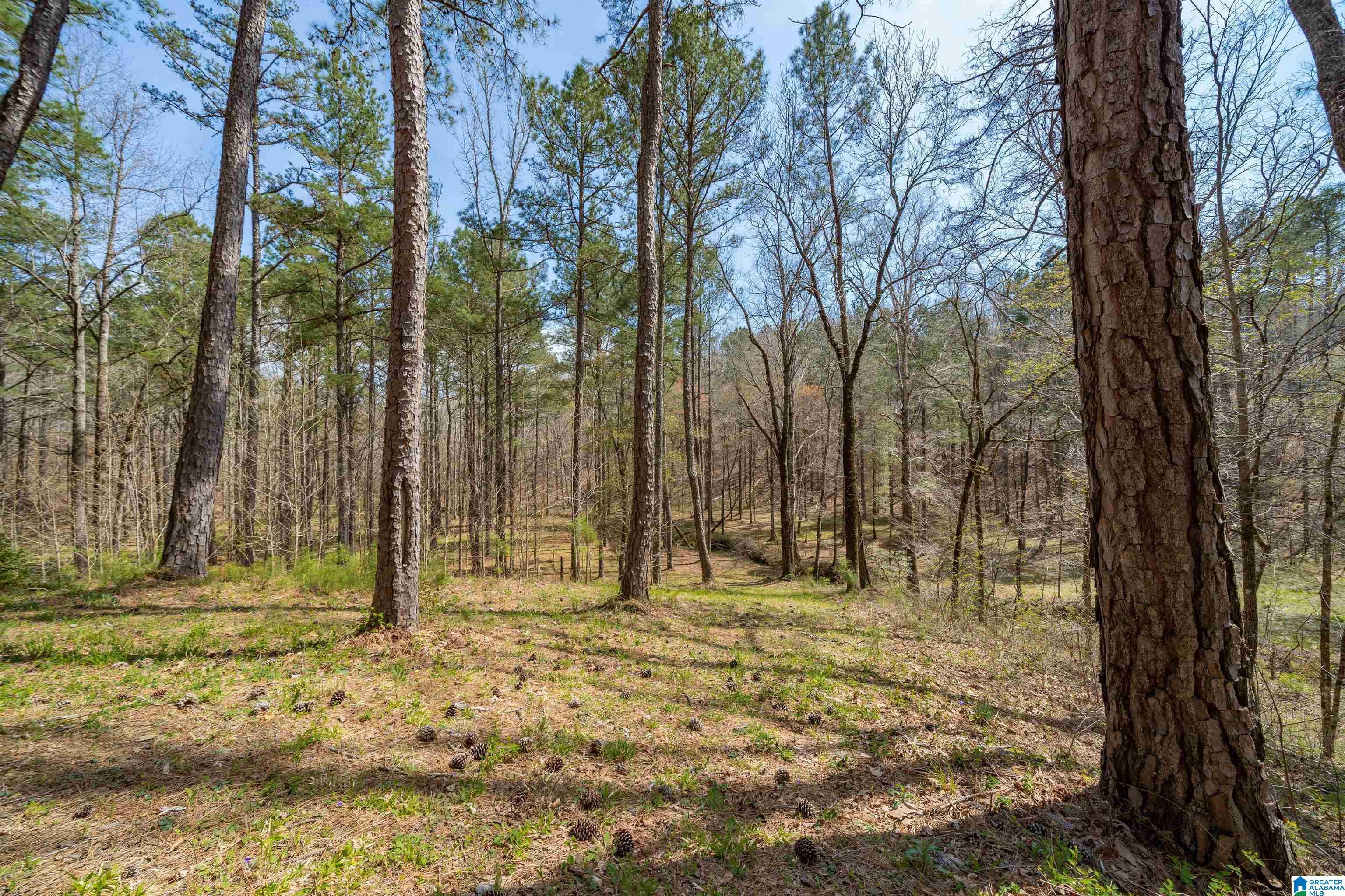 184 Sequoyah Road Pell City, AL 35128 - Photo 25 of 46