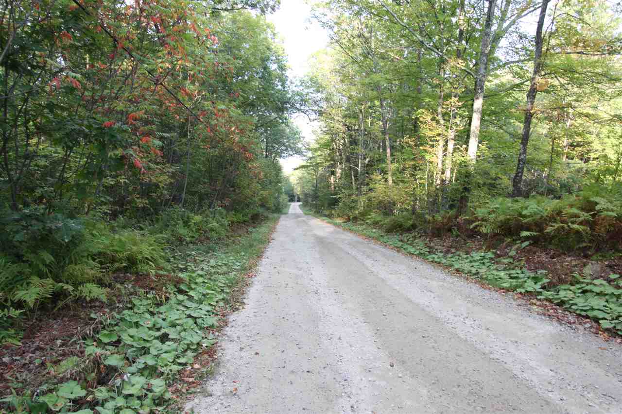 0 Raccoon Hill Andover, NH 03216 - Photo 2 of 4 Gallery Image 2
