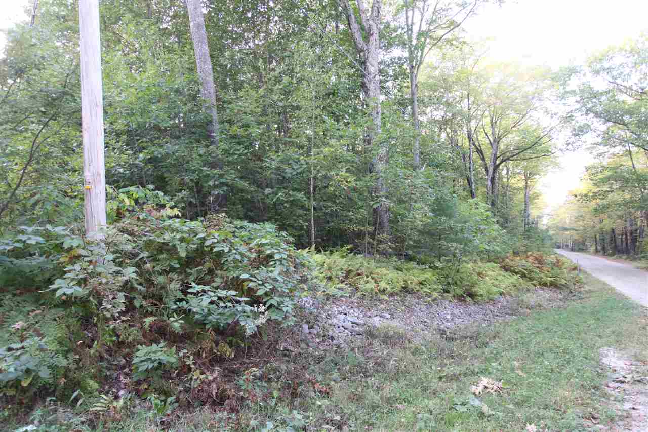 0 Raccoon Hill Andover, NH 03216 - Photo 3 of 4 Gallery Image 3