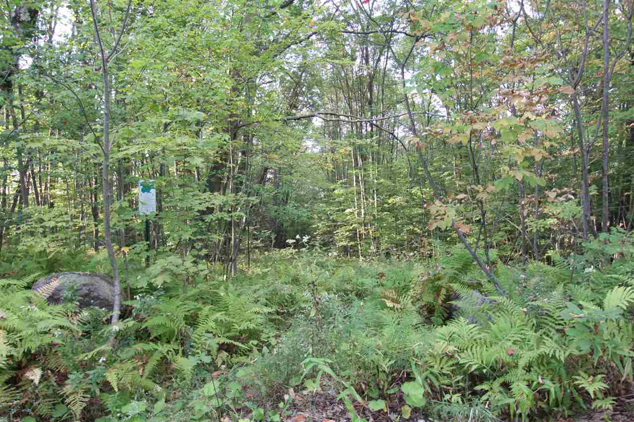 0 Raccoon Hill Andover, NH 03216 - Photo 4 of 4 Gallery Image 4