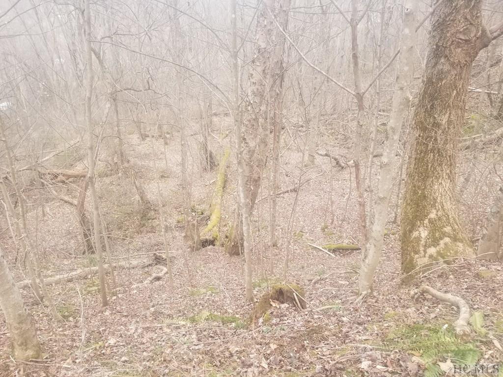 0 Pigeon Road Canton, NC 28716 - Photo 7 of 27 Gallery Image 7