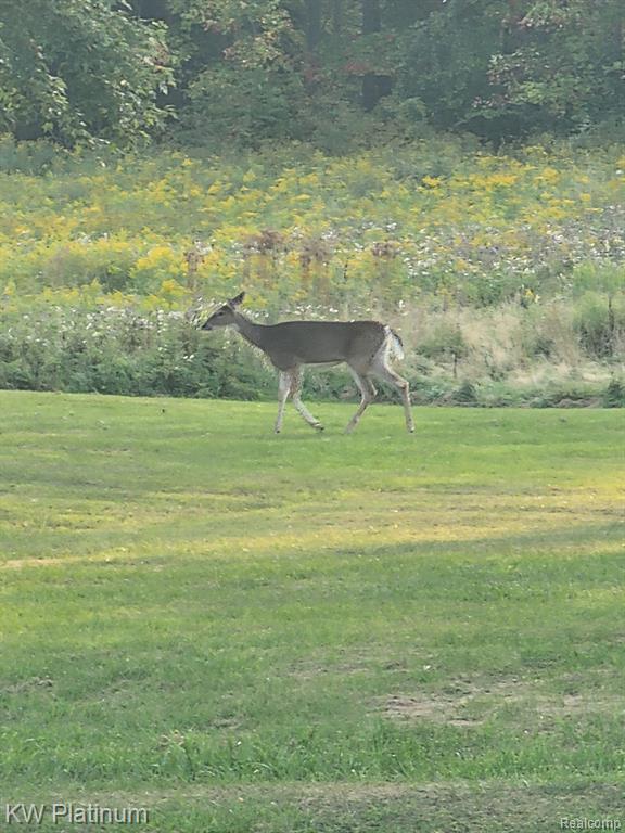 8060 Brockway Road Melvin, MI 48454 - Photo 35 of 39