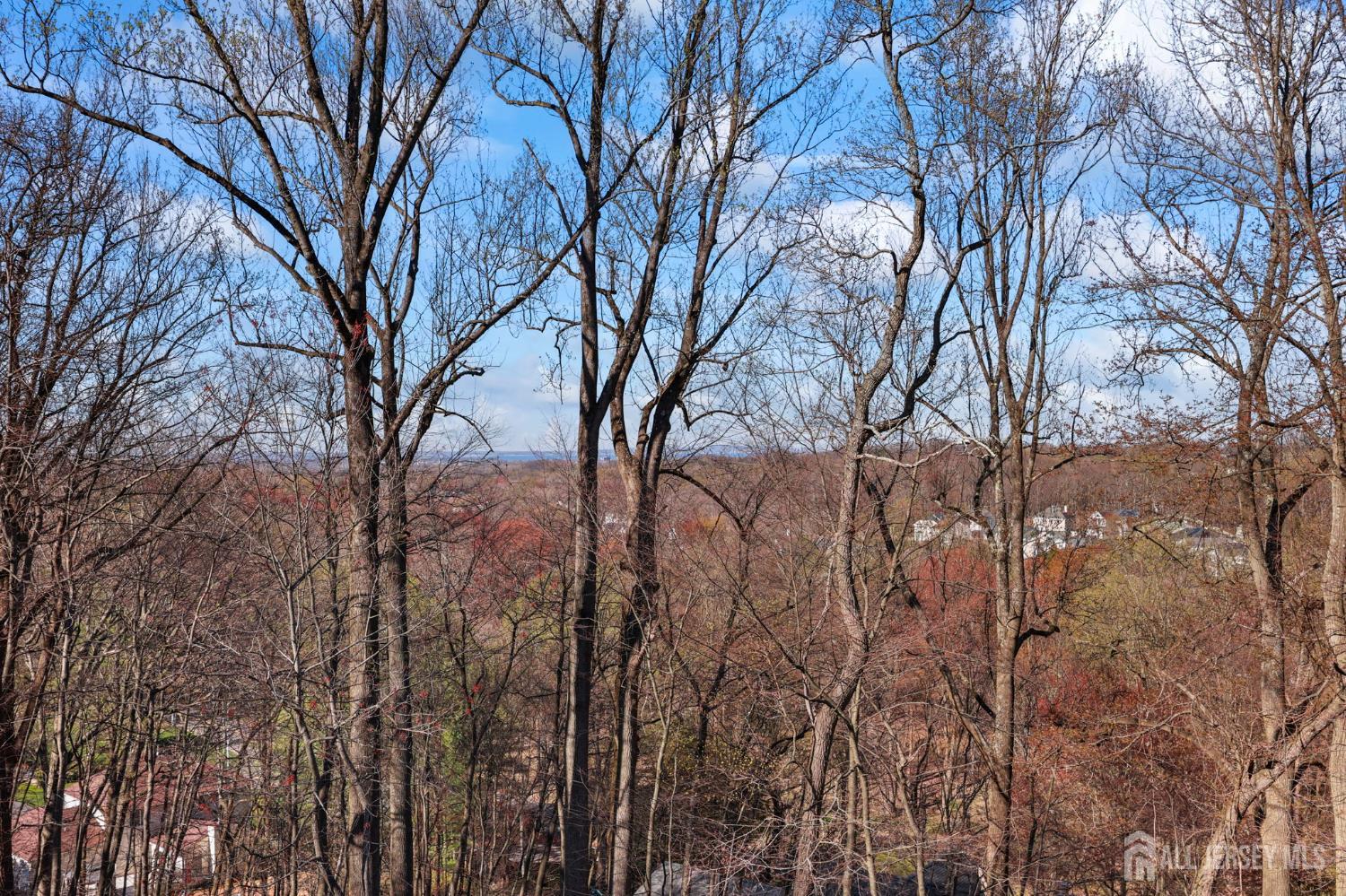 120 Nolan Road Morganville, NJ 07751 - Photo 71 of 85 a view of covered with trees