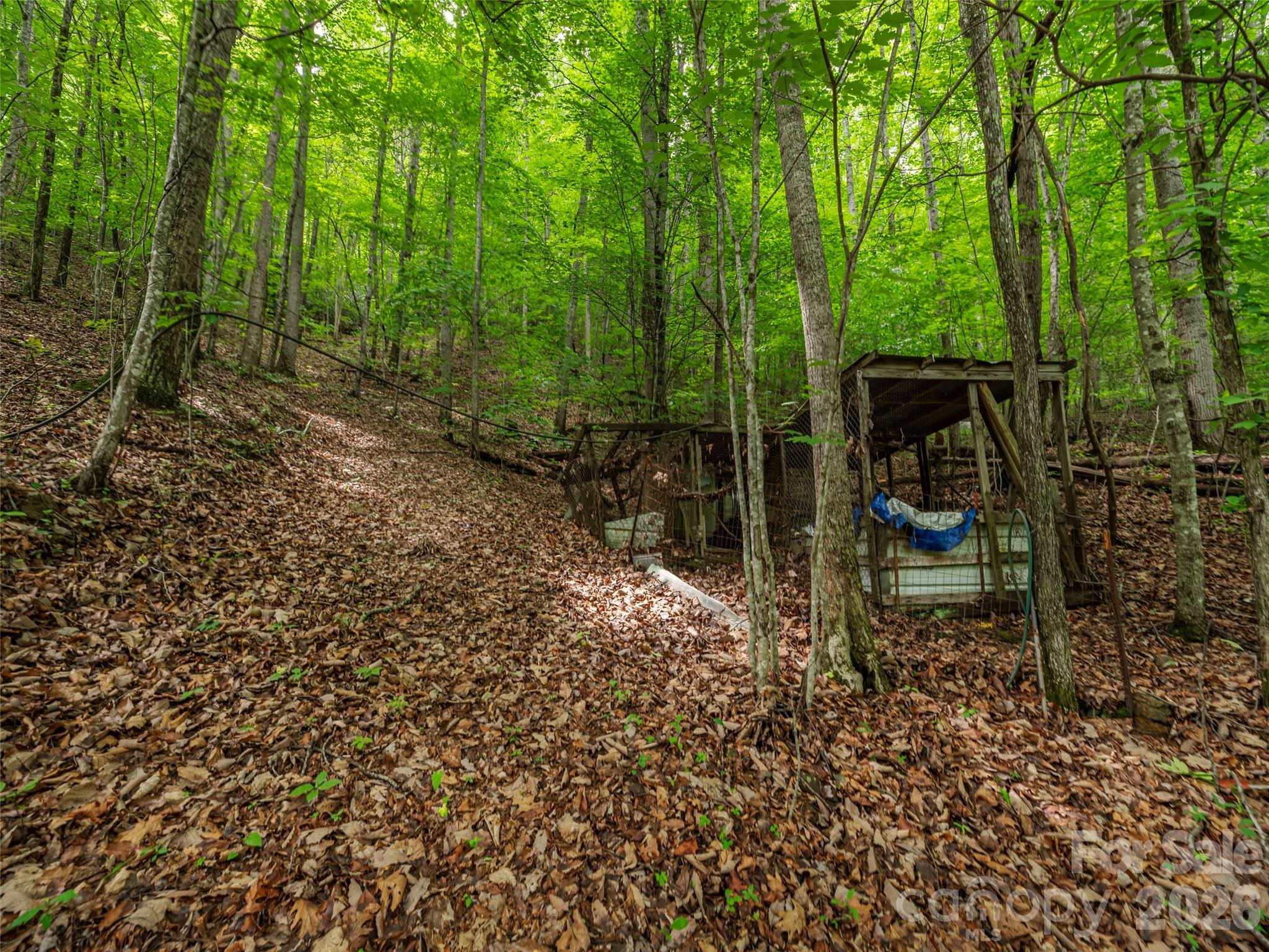 68 Long Ridge Road Candler, NC 28715 - Photo 6 of 13