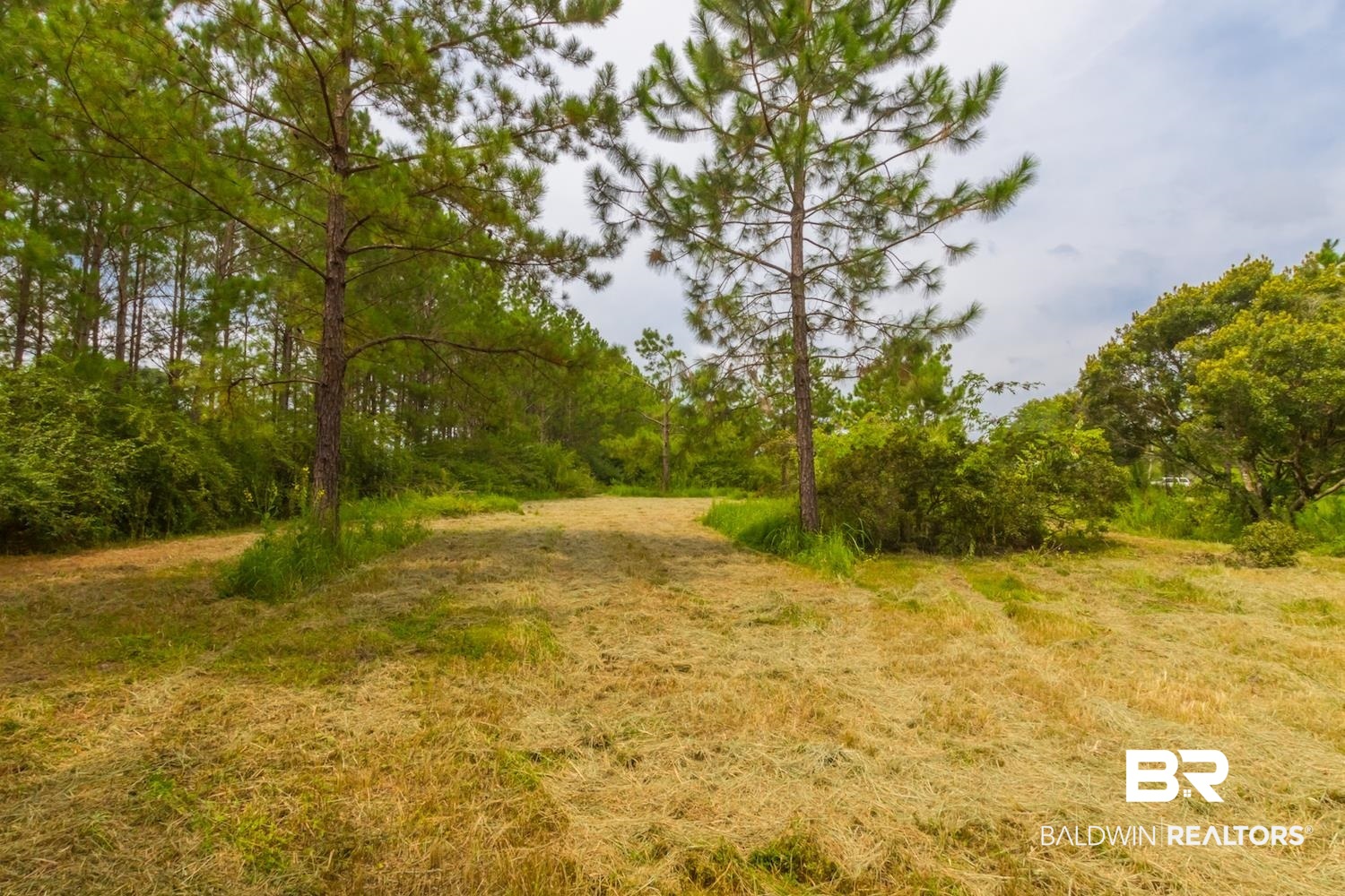28562 Malkoskie Road Elberta, AL 36530 - Photo 35 of 38