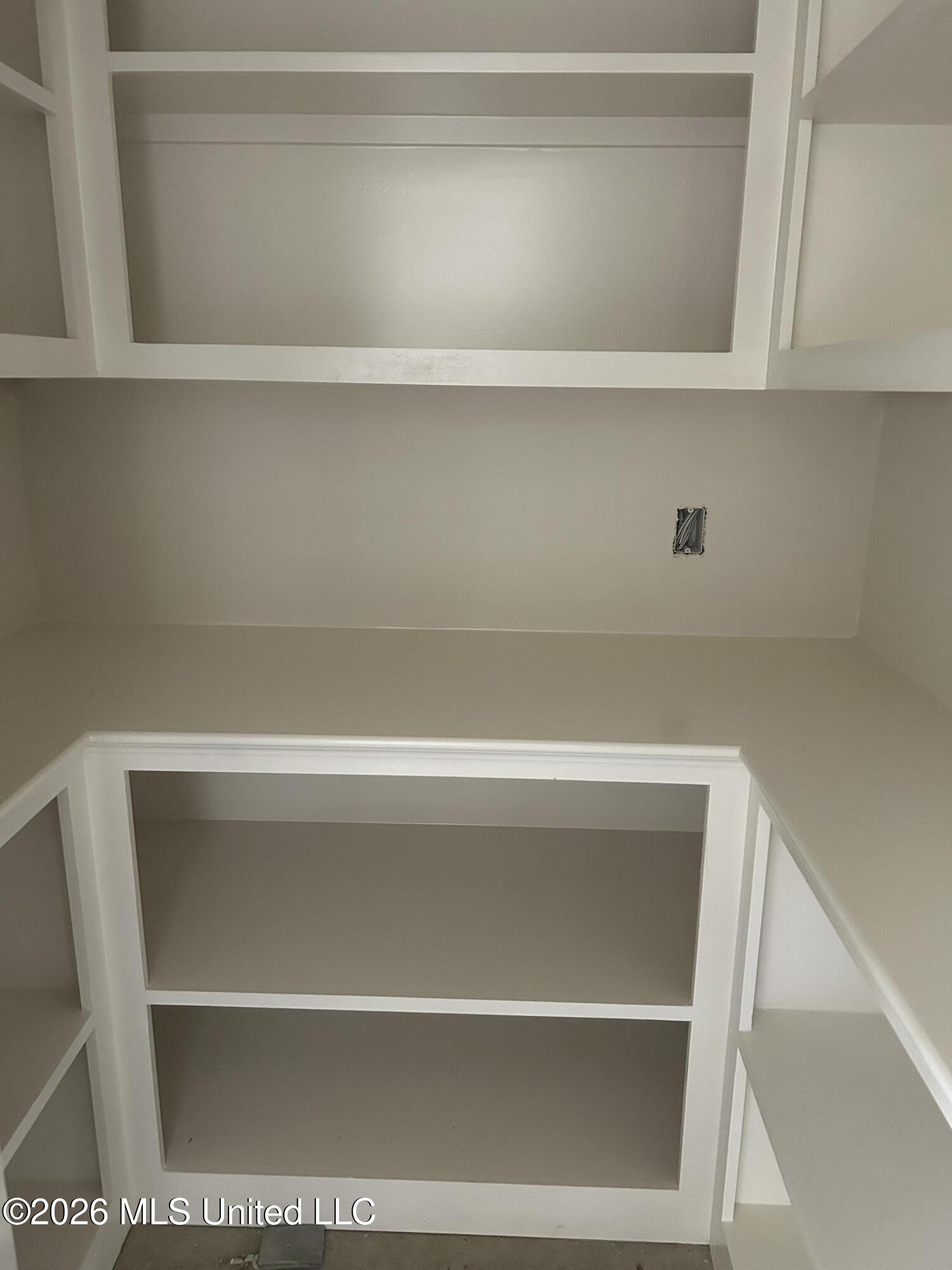 392 Wellstone Place Madison, MS 39110 - Photo 7 of 13 Walk-in Pantry