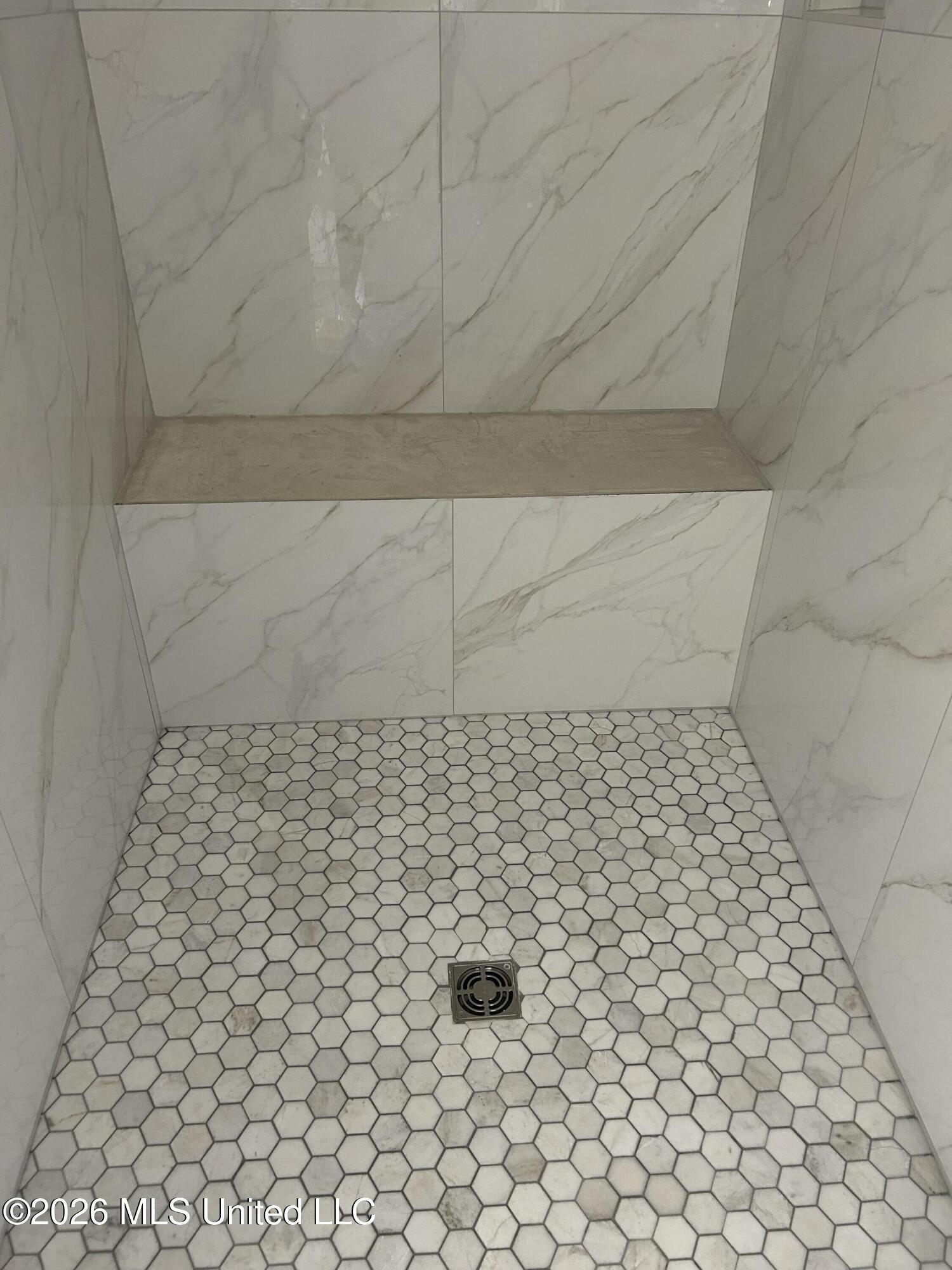 392 Wellstone Place Madison, MS 39110 - Photo 8 of 13 Primary Shower
