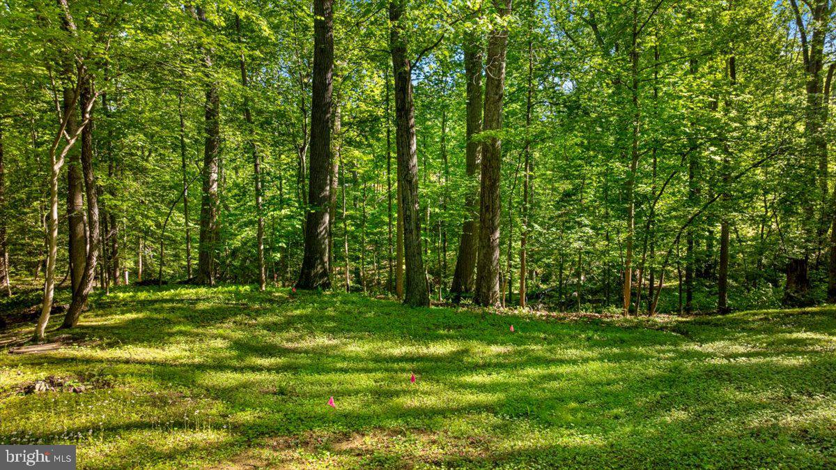 7818 Georgetown Pike McLean, VA 22102 - Photo 9 of 25 a backyard of a house with lots of green space